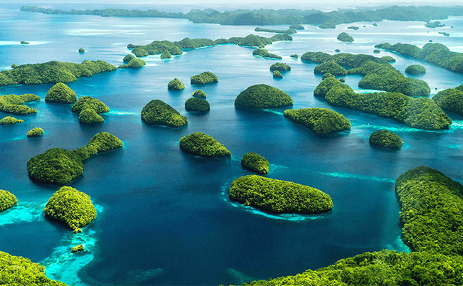 Palau Ülkesi ve Asır Makina Altın İşleme Makineleri